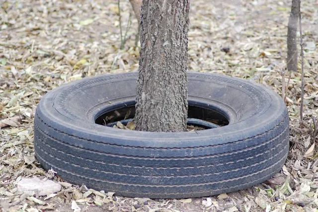 225/45 R17 PRIMACE