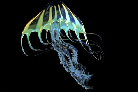  Jade Green Jewel Jellyfish: Can This Bioluminescent Wonder Survive Outside Its Deep-Sea Lair?