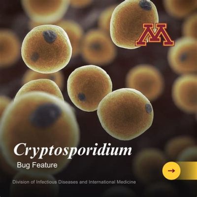  Cryptosporidium! A Tiny Parasite That Can Cause Big Trouble