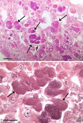  Leucocytozoon!  A Tiny Terror Hiding Within the Bloodstream