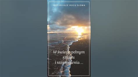  Zimorodka! Czy ta błyskawica na skrzydłach potrafi przeżyć w dzisiejszym świecie?